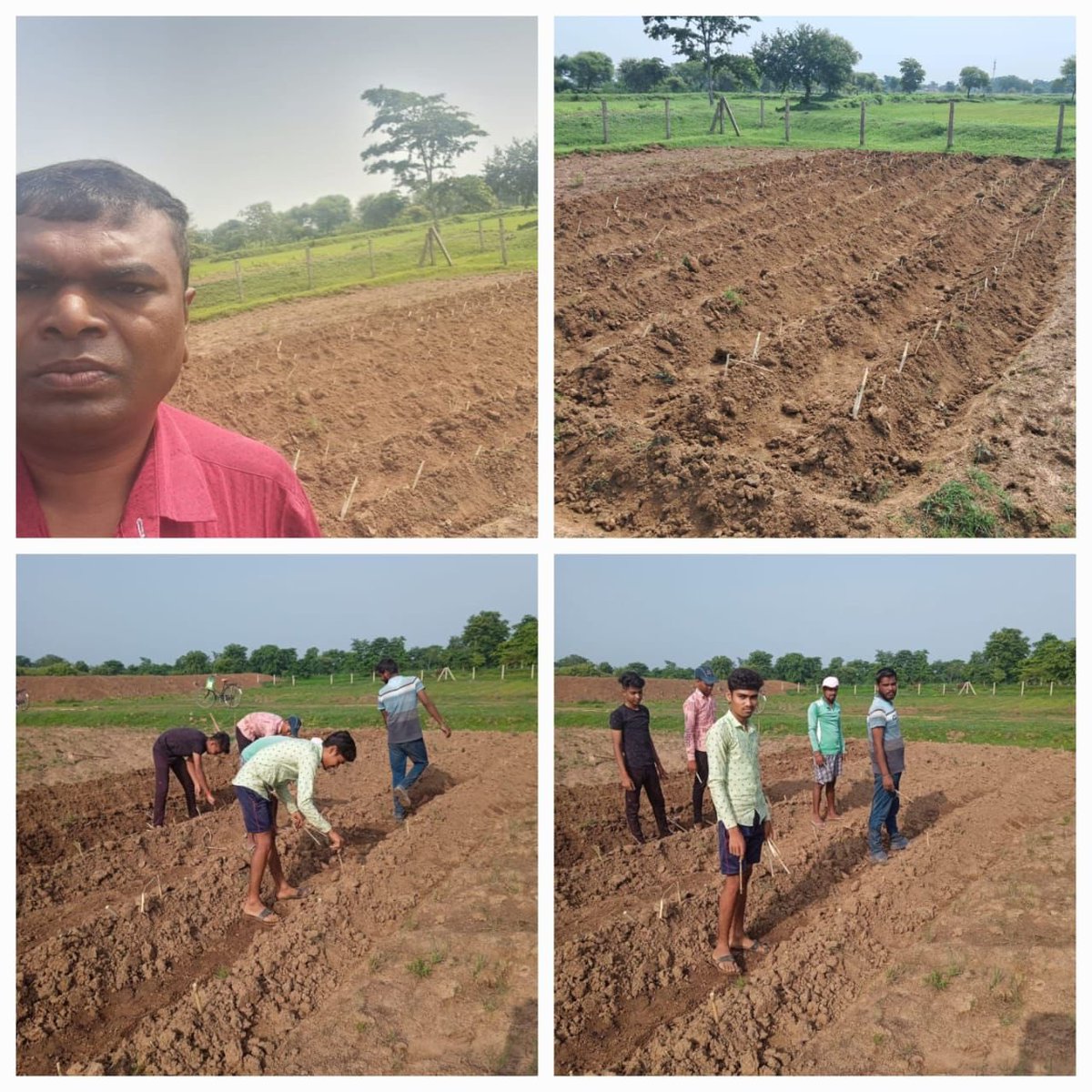 #Gauthaan #VeterinaryActivities #CharagaahVikkas #NutritionHealth #GreenFodderDemos #CommunityLand #GNY #गोधन_से_आई_खुशहाली #गोधन_न्याय_योजना @ChhattisgarhCMO @RChoubeyCG @amitabhjn @KPSingh_IAS @VibhagCg @DurgDist