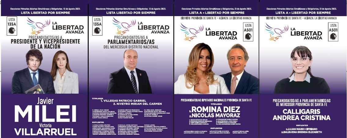 DemocrataSF's tweet photo. @peladodea24 Javier Milei/Victoria Villarruel y Nicolás Mayoraz diputado nacional https://t.co/mESaQ4dAsC