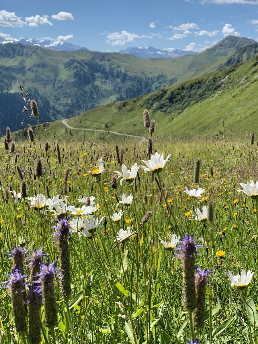 Het was weer mooi !
 
📸Schattberg, Saalbach-Hinterglemm