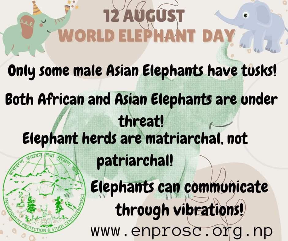 Happy World Elephant Day 2023 🐘
#enprosc #WorldElephantDay #environmentprotection