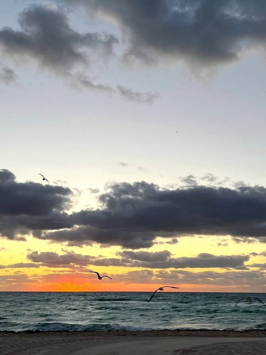 Standing on the beach, staring at the distant sea horizon, I seem to see the hope of dawn. In this early morning, the sea is calm and serene, like a mirror, gently reflecting the color of the sky