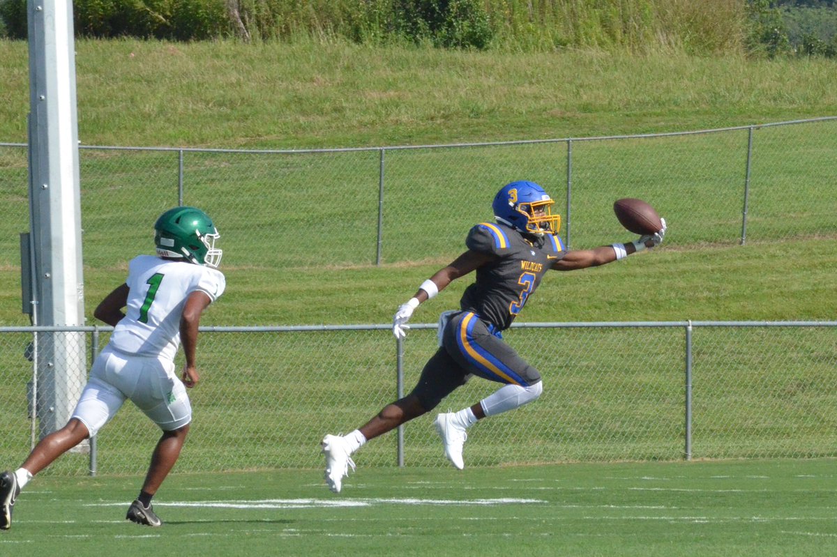 Be on the lookout this weekend for photos and videos from our @615Preps Preseason Showcase Jamborees, here’s a little appetizer of a great catch by @DCAWildcats