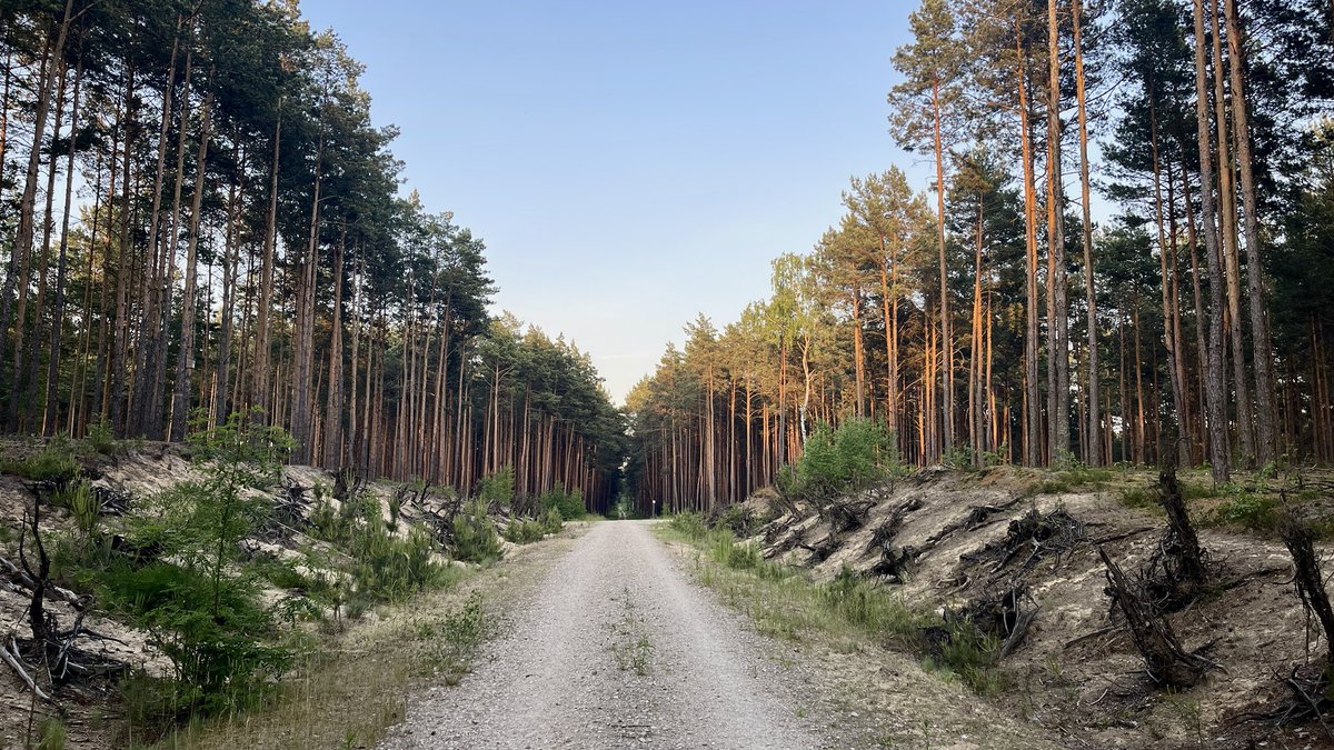 Tak Wam jeszcze powiem. Nie mam nic do alkoholu ani do ludzi spożywających go w sposob bezpieczny. Nie jestem radykałem. To nie alkohol jest problemem a chore emocje które nim zagłuszamy lub podkręcamy. Topimy smutki albo kolorujemy to co już i tak jest wystarczająco piękne 🙃