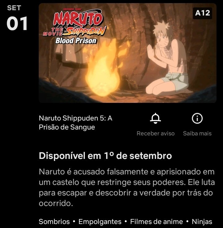 Naruto Shippuden 5: A Prisão de Sangue