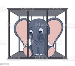 #世界ゾウの日  🐘🐘🐘
#WorldElephantDay 
#SaveOurElephants
#StopTrophyHunting
毎日多くの🐘が殺されたり虐待されたり😭
母から小象を奪って動物園やサーカスで幼少期から虐待なんてもうやめて💢
お金や娯楽のために、賢く思いやりのある🐘の自然の中での家族や仲間との🐘生を奪わないで‼
#象解放