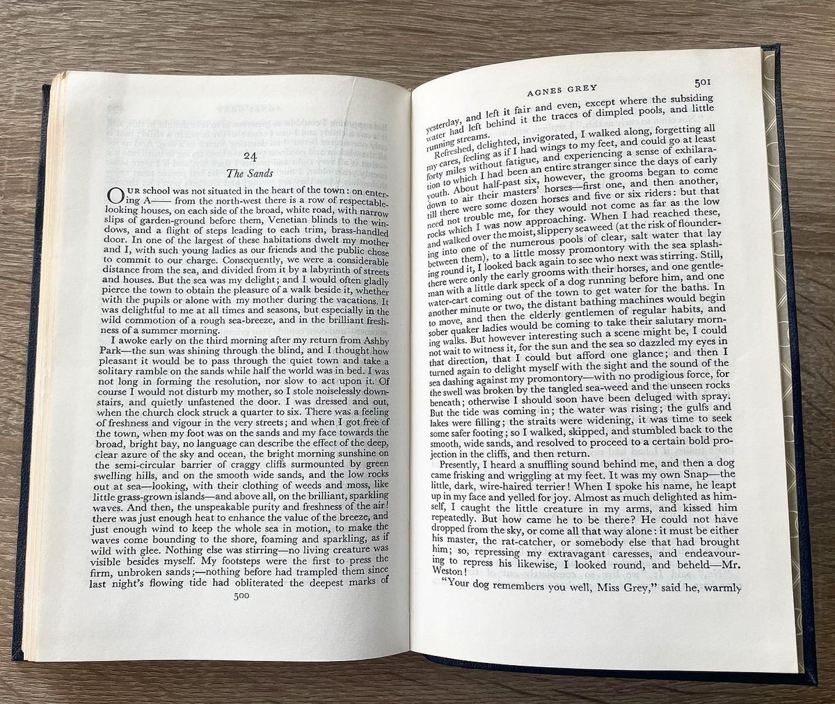 Anne Brontë Association tweet media