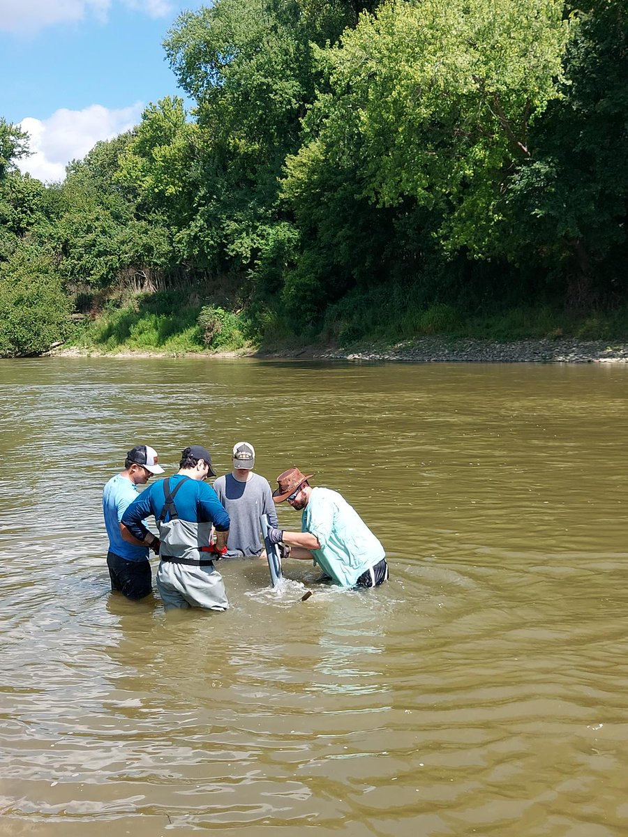 Field Work never stops! Thank you NSF HS for  supporting out work.