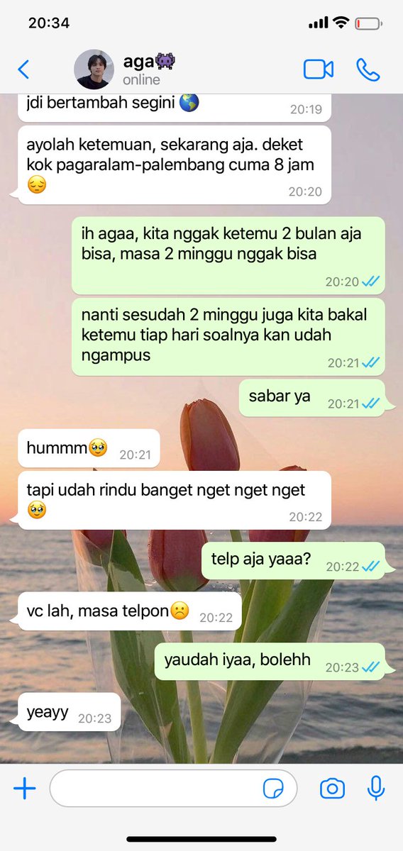 fia🪄 || rest gatau sampe kapan tweet media