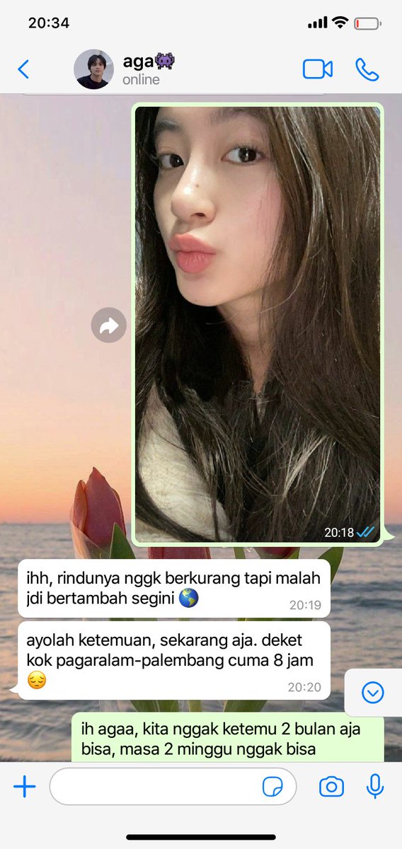 fia🪄 || rest gatau sampe kapan tweet media