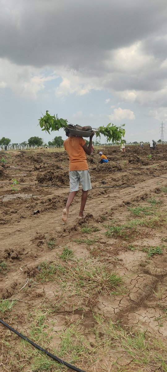 GauthamBose 🐦 tweet media