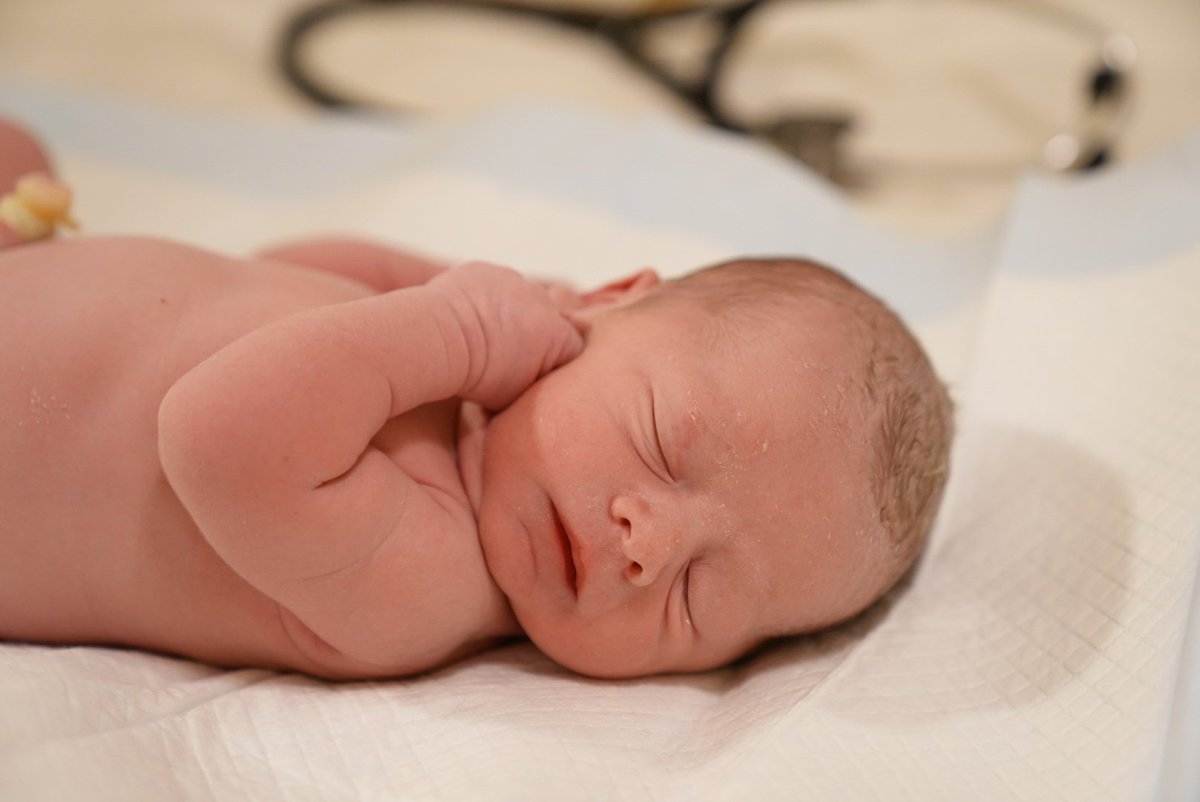 Brian Graf tweet media