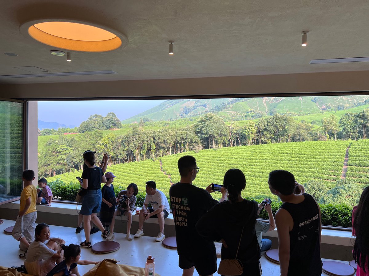 tualatrix's tweet photo. 下午去的安吉「一片叶子白茶原店」，View 是真的赞，可以发呆或摆拍一下午。 https://t.co/KTWDfBumfw