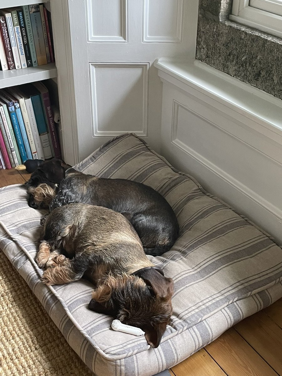 media_oyster's tweet photo. Loved this update from our @raymond_blanc edit… Our Edit Producer was fully embracing the spirit of the show, however his edit assistants were slacking off! 🤣
#edit #editproducer #tvedit #editing #cutenessoverload #tv https://t.co/HdcgVZmBPd