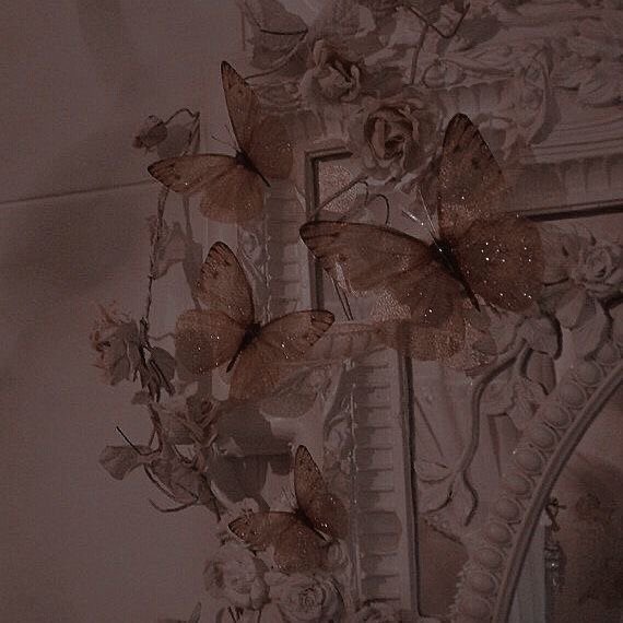 Ruby_LillyS's tweet photo. 𝕭𝖊𝖑𝖆𝖒𝖔𝖚𝖗 (𝖓.)

𝔬𝔫𝔢 𝔴𝔥𝔬 𝔦𝔰 𝔩𝔬𝔳𝔢𝔡 ; 𝔞 𝔟𝔢𝔩𝔬𝔳𝔢𝔡 𝔭𝔢𝔯𝔰𝔬𝔫 
.                                                                🝮 https://t.co/ClchQGMn1r