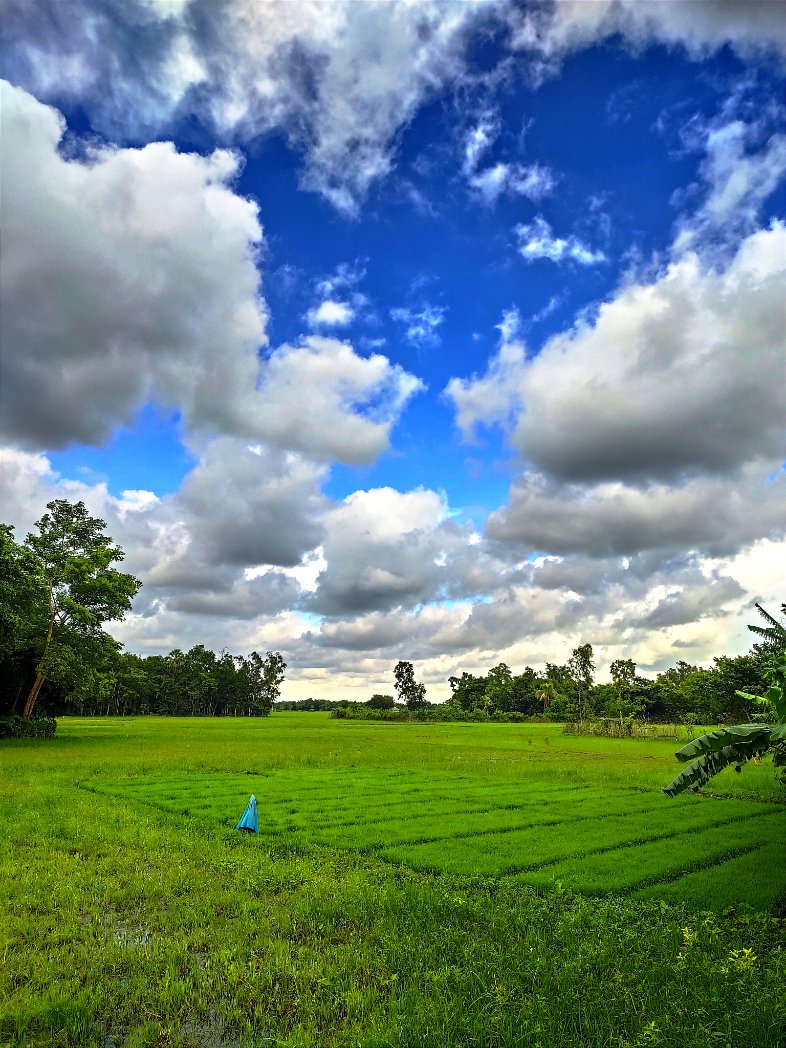 SamiranPayra's tweet photo. @NatGeoPhotos
@disclifechannel 
@googlephotos 
@nasahqphoto 
#monsoon https://t.co/2JQAWGawBo