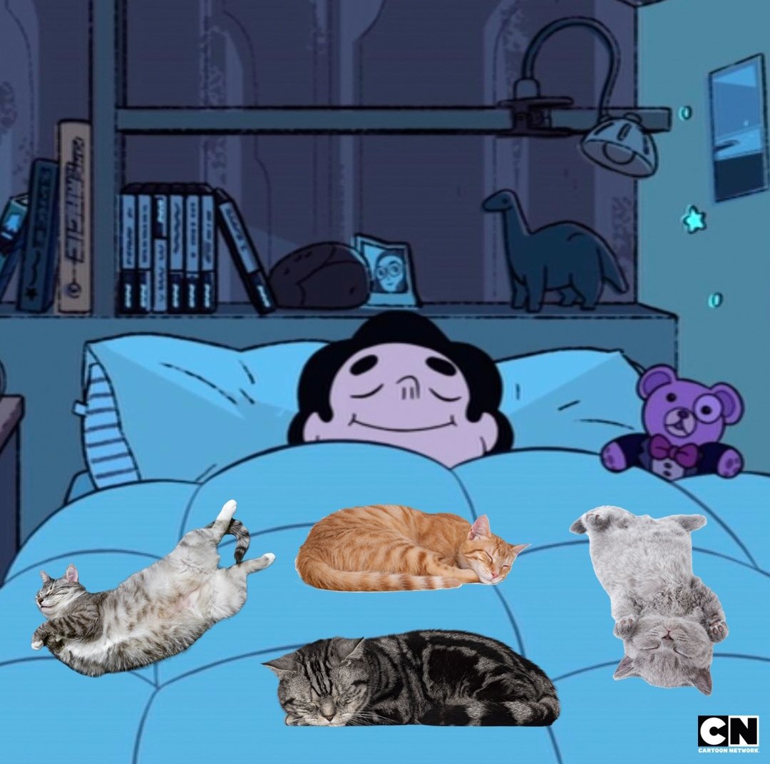 jopsibel's tweet photo. Creo que ví un lindo gatito
#CartoonNetwork https://t.co/TZT0Jm3Fgl