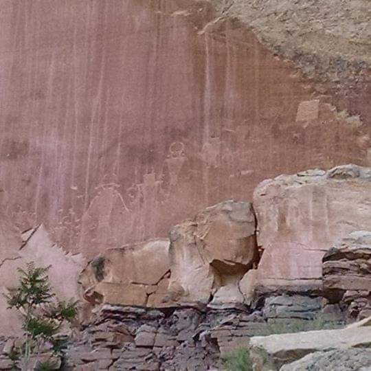 Free Ratikals Saturated Energy Band tweet media