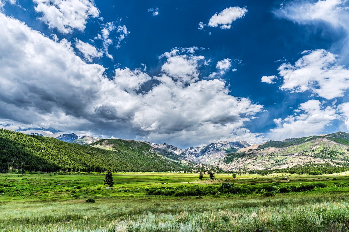 Greg Bracco (@thisamdude) on Twitter photo 