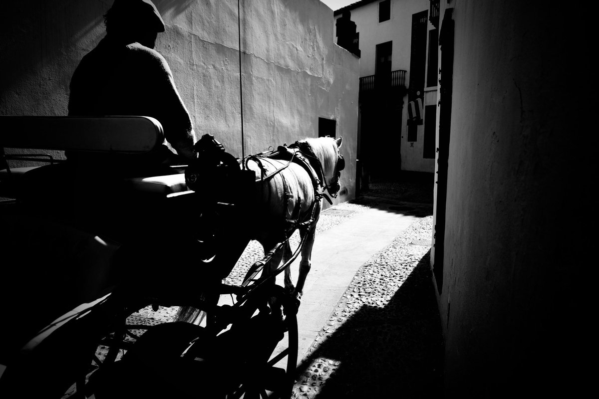 Traditional transport through the backstreets of Ronda, Spain.
#blackandwhite #ronda #spain #bnw #travel #horseandcarriage #horse #equine #blackandwhitephotography #leica #silhouette #andalucia #spanishculture #streetphotography #street #photography #artist #life
