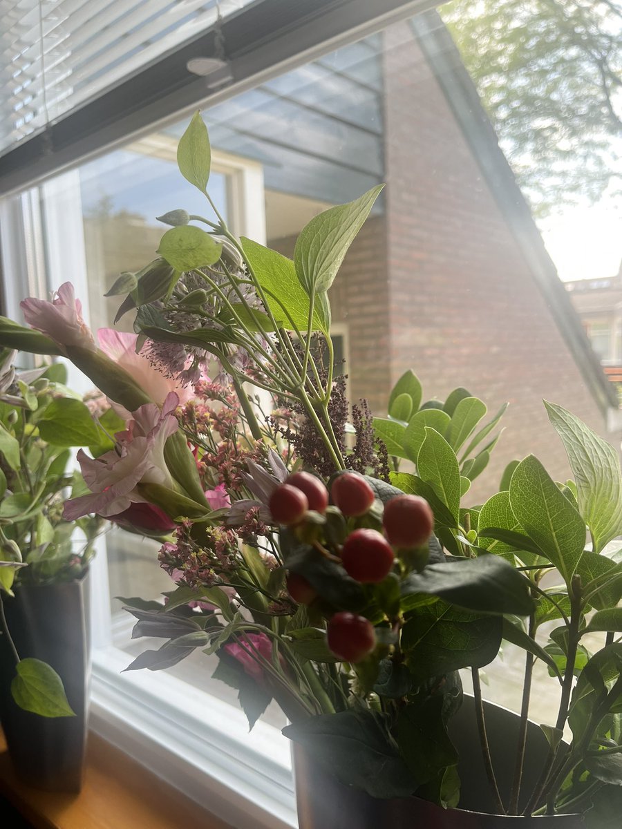 deetje03's tweet photo. https://t.co/eZjmEB05wn