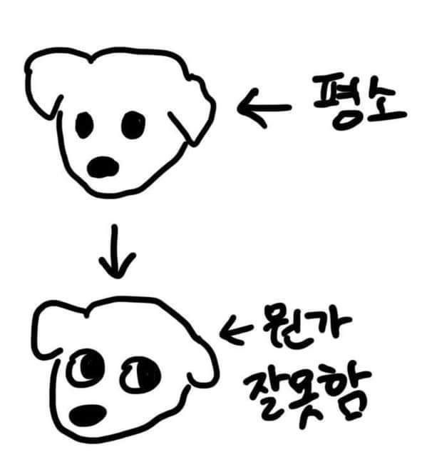 sun41ne2's tweet photo. 230812 미니레코드 #선우 

뭔가 잘못하면 티가나는 강아디!! https://t.co/Ei6Bt1tXKE