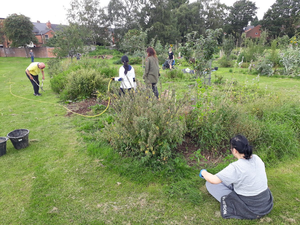 fruitnutvillage's tweet photo. More planting at #PebbleMillPlayingFields #ForestGarden today. #Apios #Primrose #GlobeArtichoke #MagicCabbage #BergamotLemon. We've cut down and used all of the #comfrey as a mulch too. https://t.co/cA6Lj8Vczu