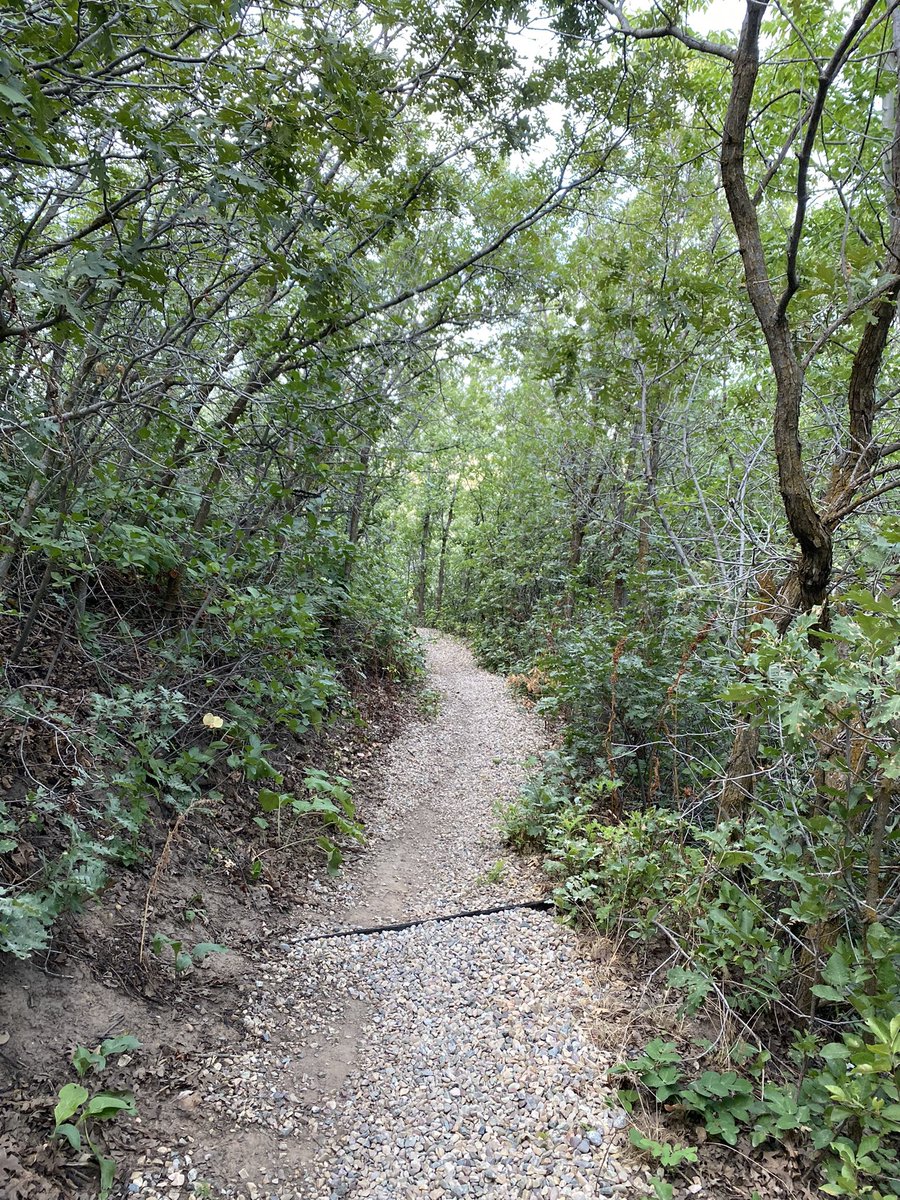 GabrielKGordon's tweet photo. From the trail just a few minutes walk from my house. Like my friend Holly Bowden likes to say, “outside is best”. I wonder what’s in store, right around the corner…#outdoorliving #hikingadventures #livelife https://t.co/vGKfrhVnM1