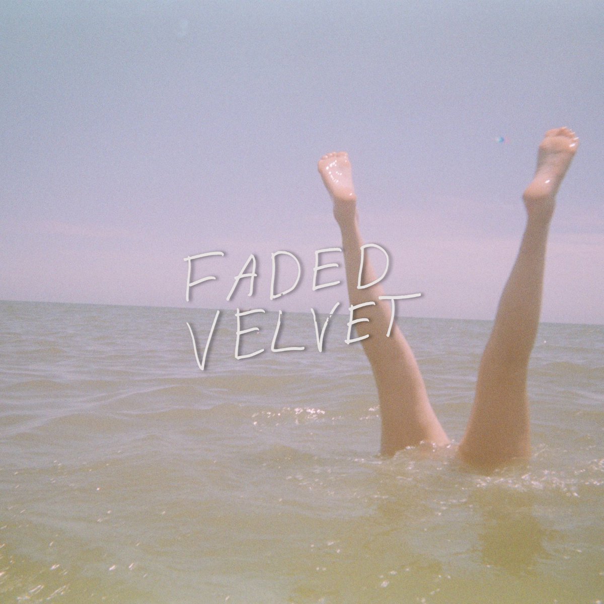 Palm Tree Square tweet media