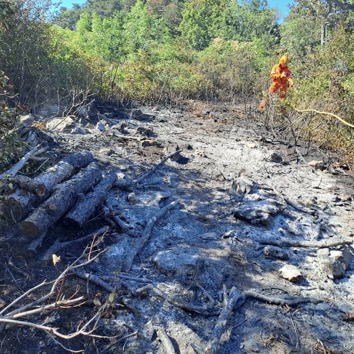 Riccardi_FVG's tweet photo. #Grazie ai volontari di Protezione civile #antincendio boschivo della squadra comunale di #DuinoAurisina che stanno intervenendo a supporto, su richiesta dei Vvf, per lo spegnimento di un incendio boschivo con Cfr #DuinoAurisina
@regioneFVGit
@DPCgov @ProtCivReg_FVG https://t.co/byQQqoj3kR