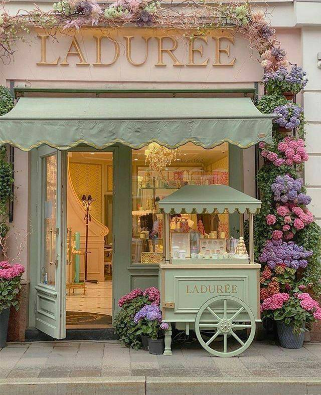 artindetails's tweet photo. flowers make me happy 💐 https://t.co/xAlScQRmvd