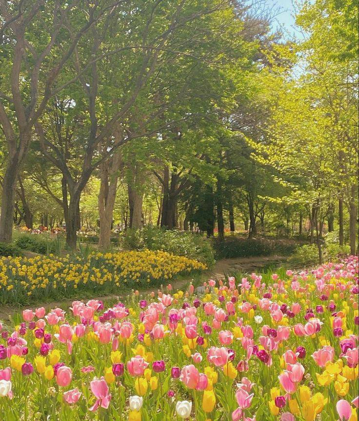 artindetails's tweet photo. flowers make me happy 💐 https://t.co/xAlScQRmvd