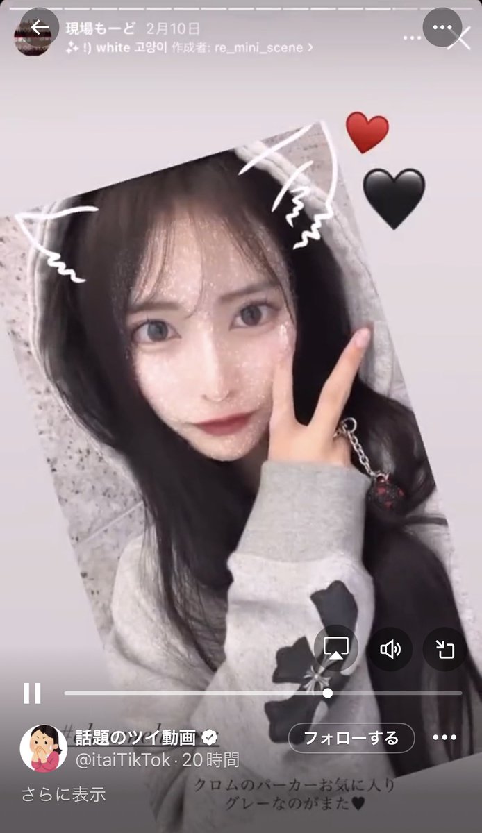 ⑅ 即購入◎ ┊︎ 美 少年 金指 一世 公式写真 2017 ジャニアイ 10枚 51u8UrhKYfL._UF350,350_QL80_.jpg