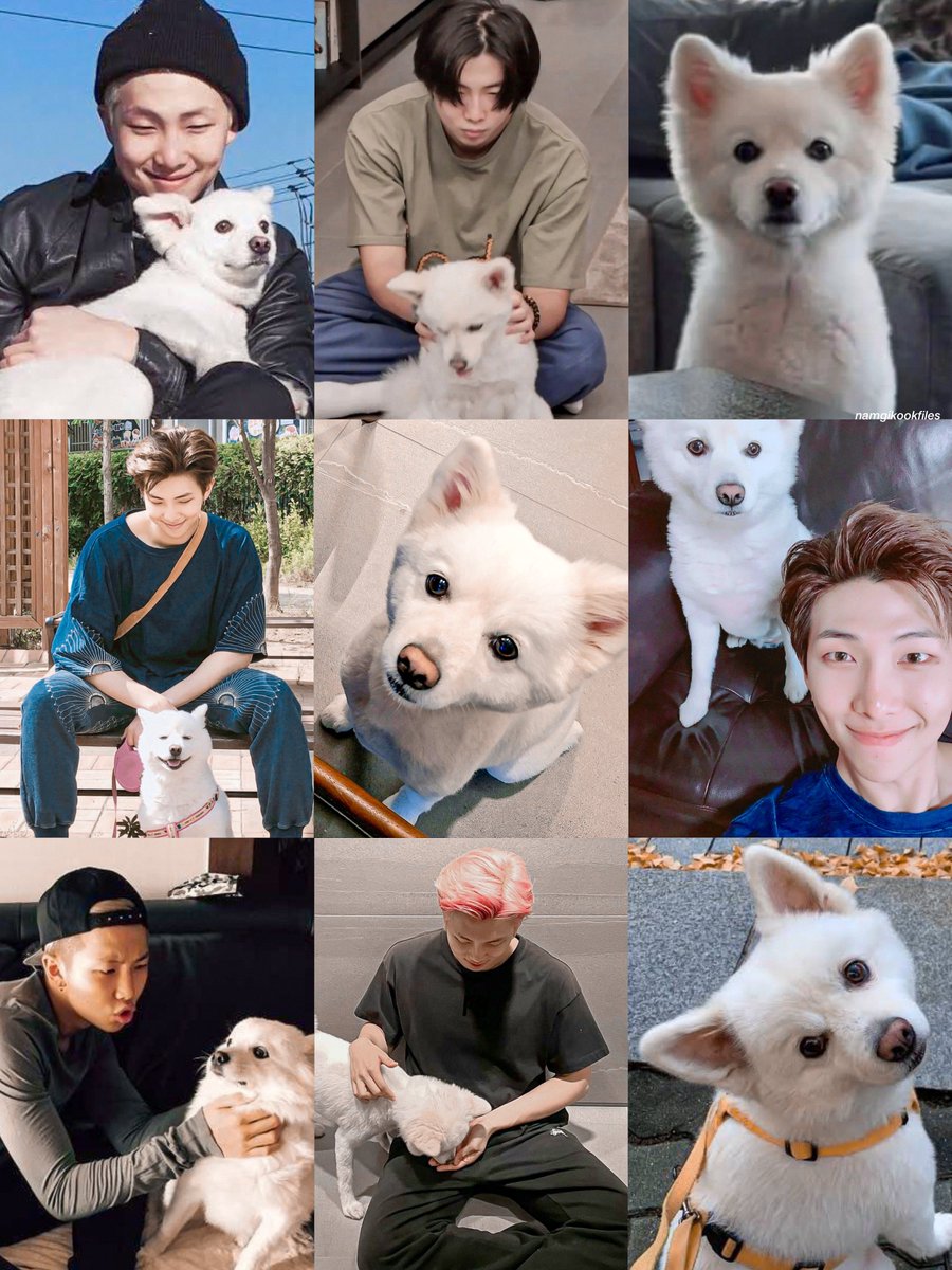 hourly namgikook (REST) tweet media