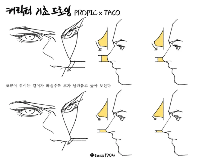 코끝이 꺾이는 길이가 짧을수록 코가 날카롭고 높아 보인다
