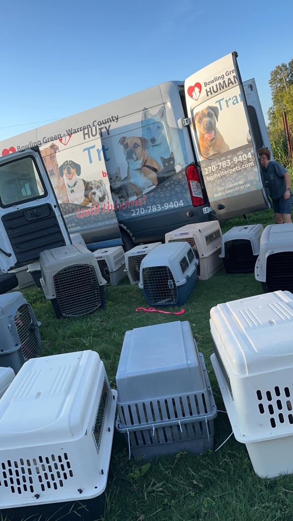 bgshelterpets's tweet photo. 🚨 CODE RED RESTART: $25 Adoptions until further notice! We rescued 79 dogs from a breeder hoarding situation last night. We need adopters and donors - and volunteers today to help bathe them! We open at 10 am. If you’d like to help with care donate at https://t.co/v2pnlfyq9c! https://t.co/tfjjaiJCrC