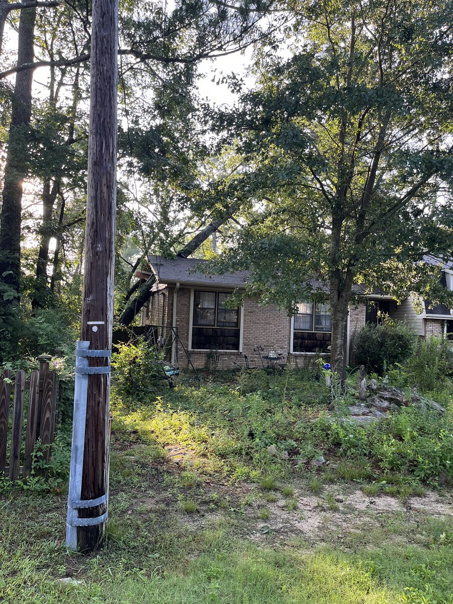 mrushano's tweet photo. Prayers for all our neighbors in Bluff Park,Alabama today!  Our daily dog walk this morning showed us massive damage from fallen trees.  These pics are all a mile from my home. https://t.co/lFnjR2Rv14
