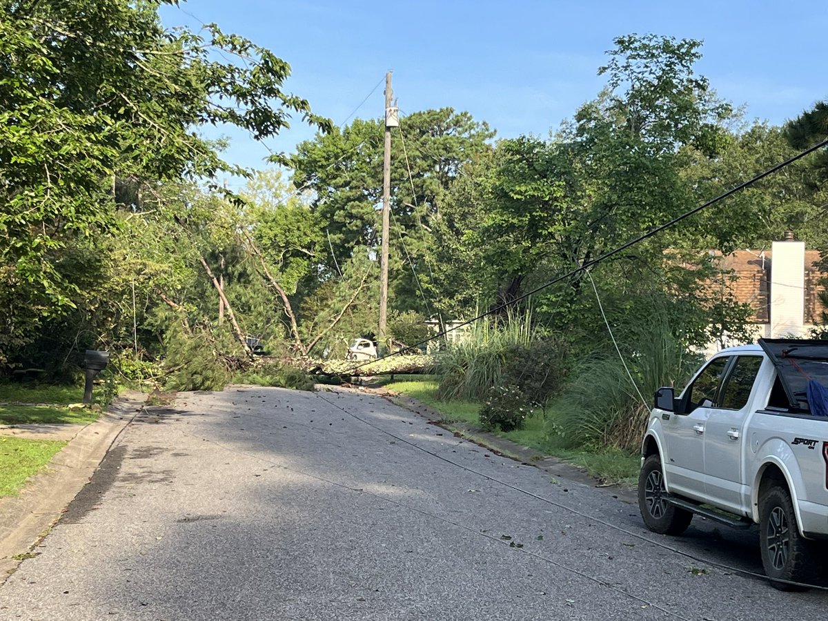 mrushano's tweet photo. Prayers for all our neighbors in Bluff Park,Alabama today!  Our daily dog walk this morning showed us massive damage from fallen trees.  These pics are all a mile from my home. https://t.co/lFnjR2Rv14
