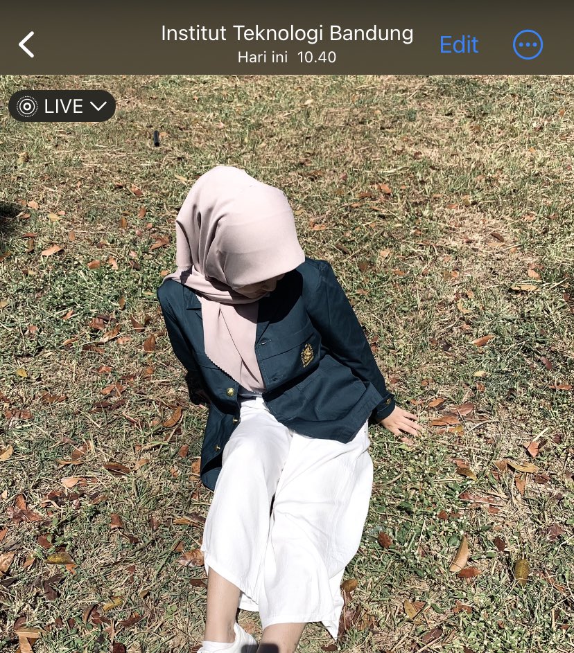 aull tweet media