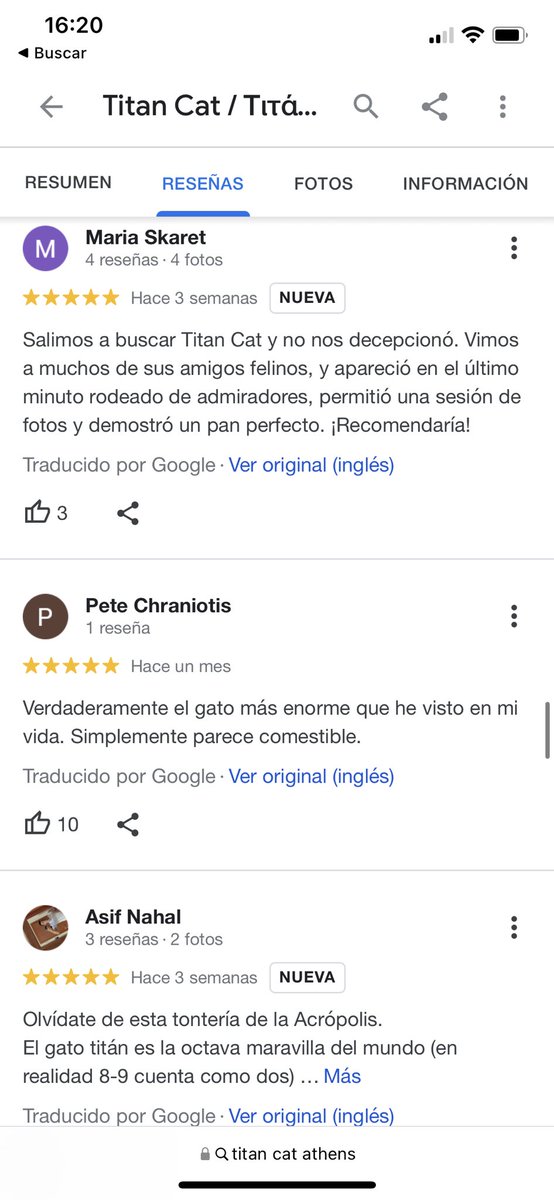 anavcoqui's tweet image. chicas sabéis que en atenas hay una atracción turística con cinco estrellas de valoración que es un gato gordisimo (pero gordo gordo) q está siempre en el mismo sitio ahí tirao..fue lo más divertido de todo el viaje