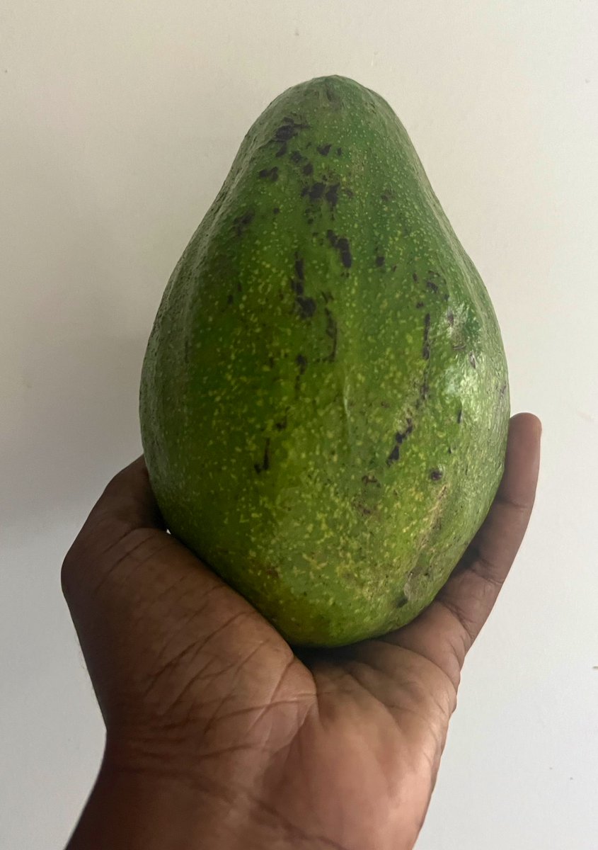 Qui connaît ? Qui aime ?