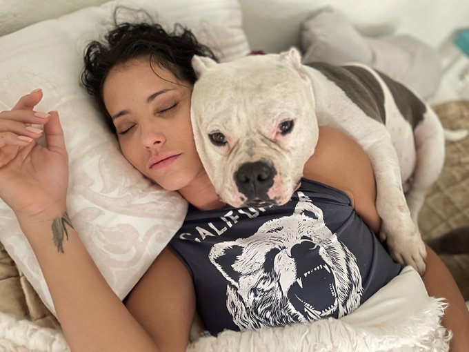 This is why I get no sleep!   #americanbully https://t.co/h0l5R7TyRA<a href="/tag/americanbully"class="tags">#americanbully</a>