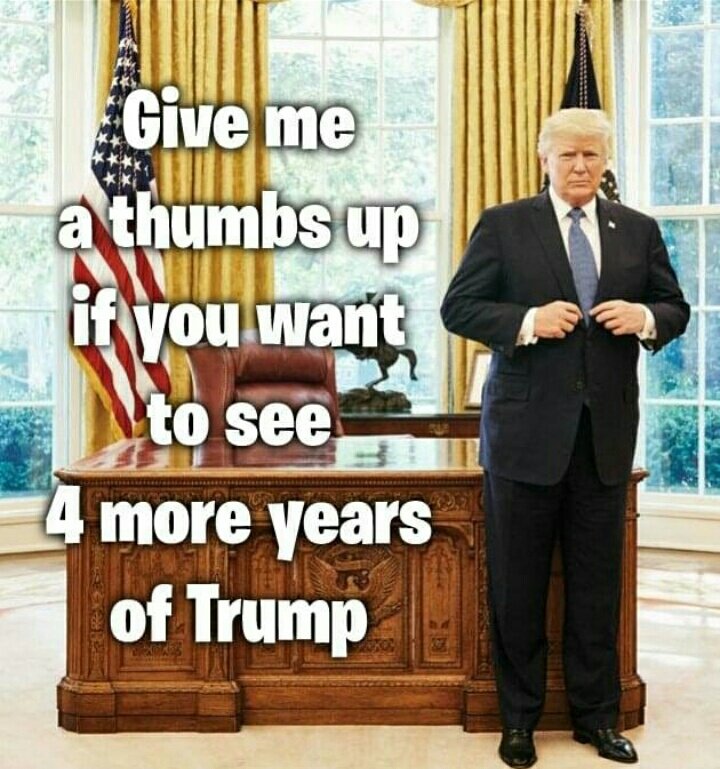 Raise your hand ✋️ if you want another (4) years of Donald J Trump 👇