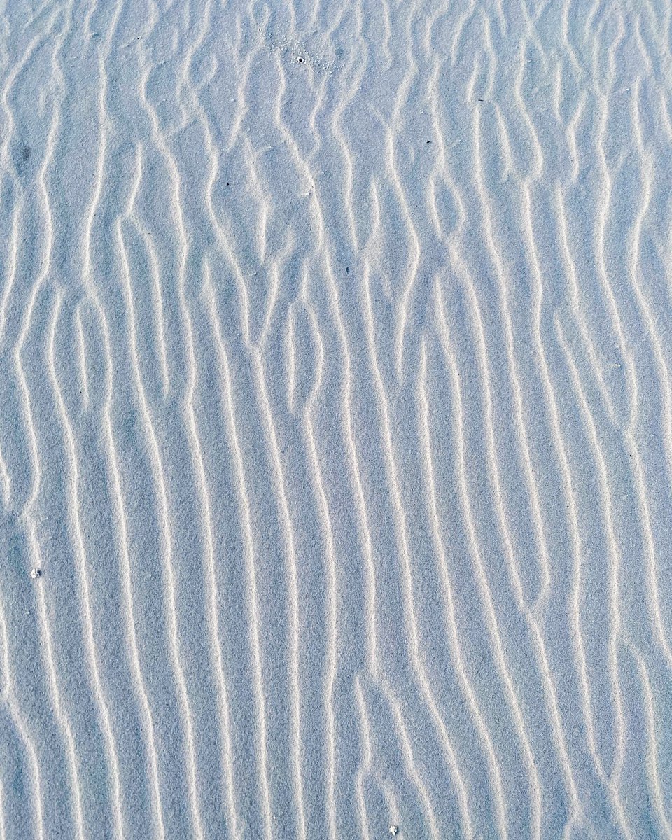 VisitPensacola's tweet photo. Sugar white-sand beaches >>> ✨

The sand you walk on from Perdido Key to Pensacola Beach is 100% quartz that washed down from the Appalachian mountains thousands of years ago 😱 Its texture is so unique that it literally "squeaks" when you walk on it! 🩵 https://t.co/odhtceOpXA