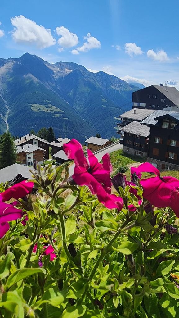 Ms. Matute tweet media