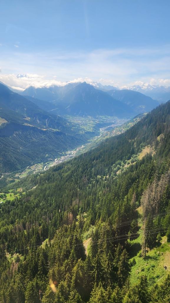 Ms. Matute tweet media