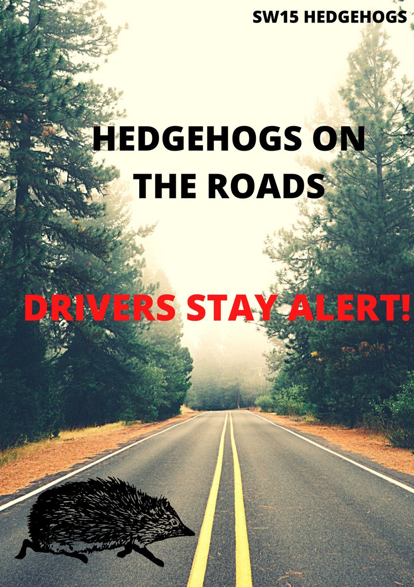SW15 Hedgehogs tweet media