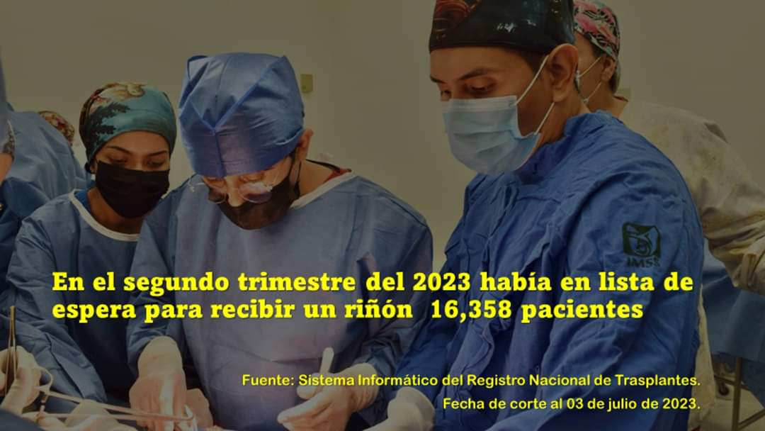 La lista de pacientes en espera de un riñón cada día crece más, a pesar de todas las donaciones y trasplantes.
La campaña de donación que lleva a cabo el #IMSS destaca la generosidad para donar órganos cuando ya no se necesiten.

#regalavida #DonaÓrganos
#HGZ33 #IMSSNayarit