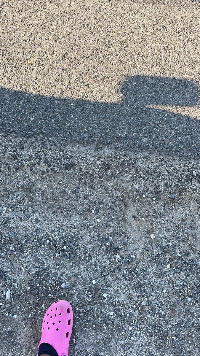 riyah0_0's tweet photo. UM???  I JUST GOT DROPPED OFF IN THE MIDDLE OF THE ROAD?? HELLO??? IM PANICKING WHAT DO UT DO https://t.co/JOcHlDK02i
