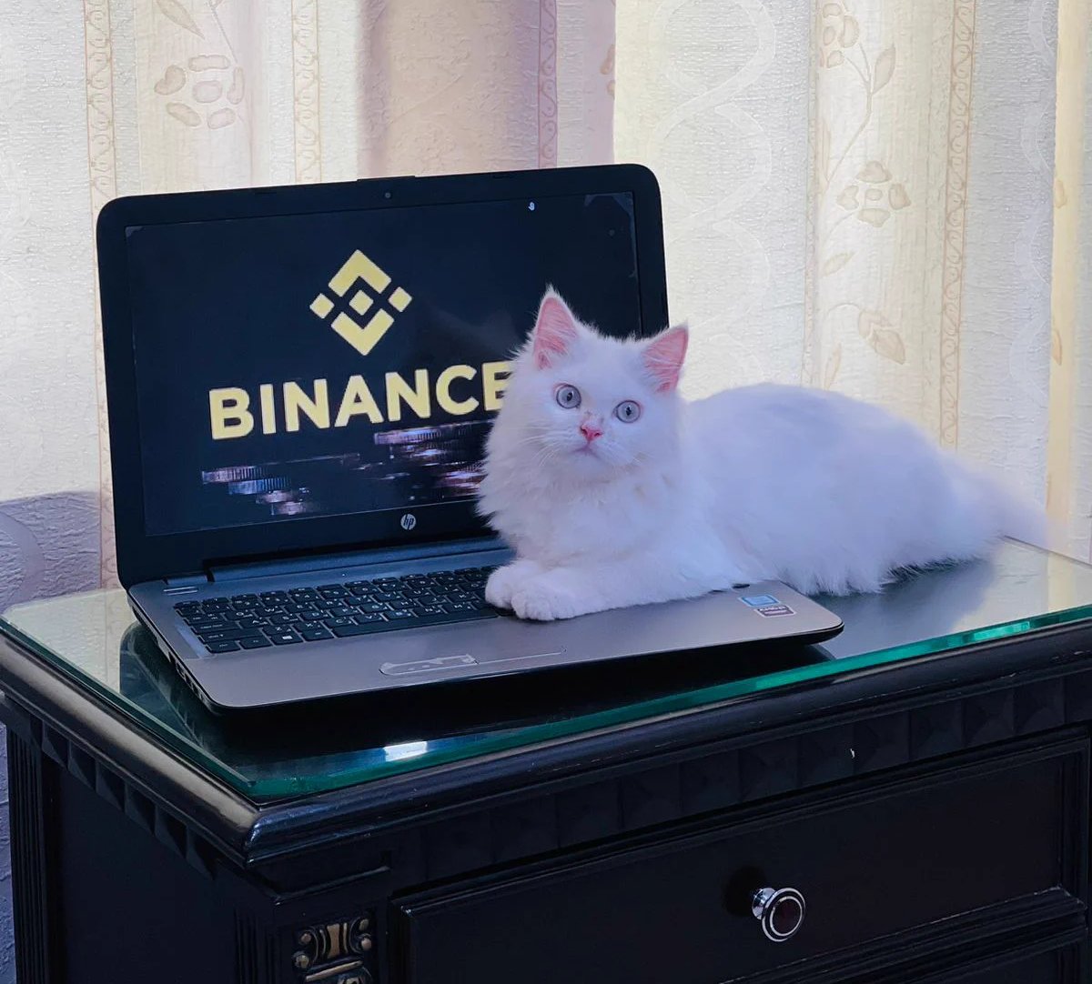 Binance tweet media