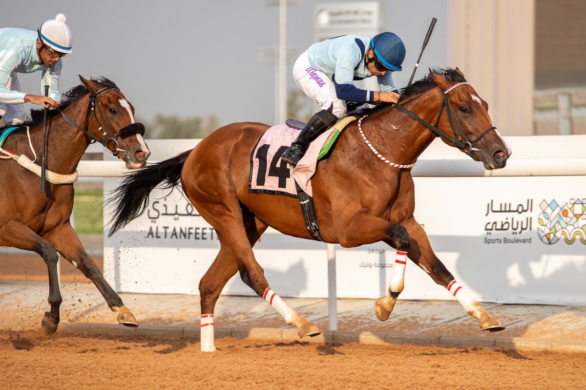 JockeyClubSA_EN's tweet photo. Double up for @wigmanramos! 💪

🥇 CORRECT AND RIGHT (Churchill) is now a two-time KSA winner after landing R4 for Abdullah M S Alotaibi.

#TaifSeason | #SaudiRacing https://t.co/R1J5AcdXmB